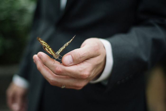 groom-with-butterfly-wedding-photography