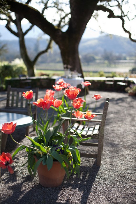 sonoma-california-ranch-wedding-julie-and-luciano-megan-clouse-photography-031_low