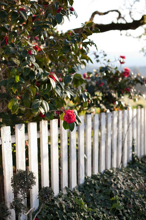 sonoma-california-ranch-wedding-julie-and-luciano-megan-clouse-photography-072_low