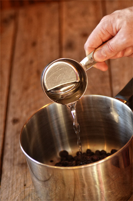 homemade diy blueberry sauce