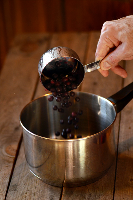 homemade blueberry sauce