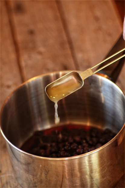 diy blueberry sauce