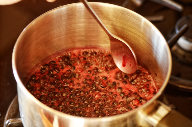 diy blueberry sauce 