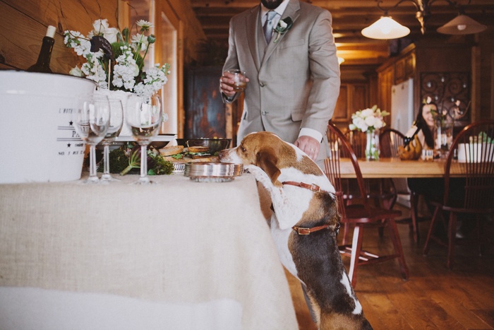 north-carolina-cabin-wedding-kristofer-and-krista-6565