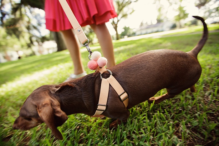 Tallahassee-Florida-Intimate-Wedding-Cecil-and-Jessica-0553