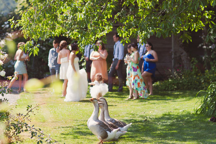 Amy and Nick's Starling Lane Winery Wedding