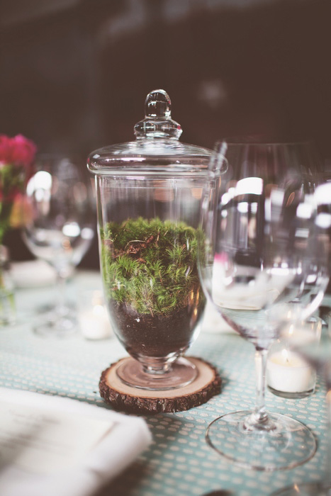 terrarium centerpiece