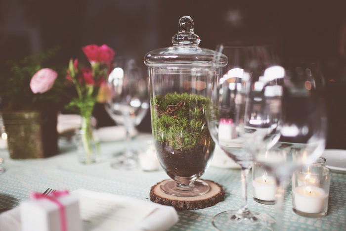 moss terrarium centerpiece