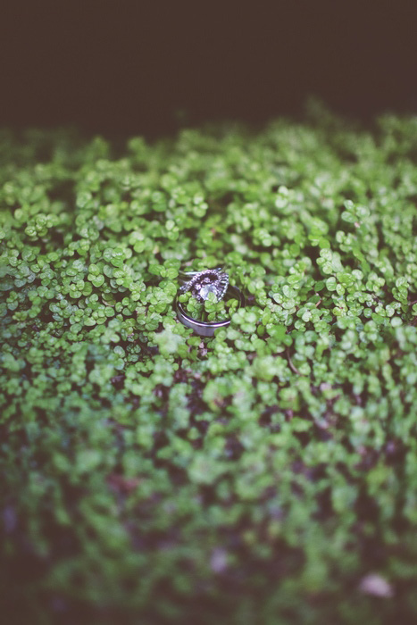 wedding rings on ground cover