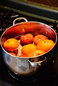 Homemade Salsa (that You Can Freeze!)