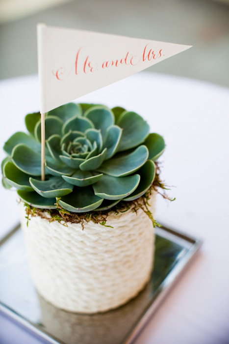 Nautical succulent wedding favor