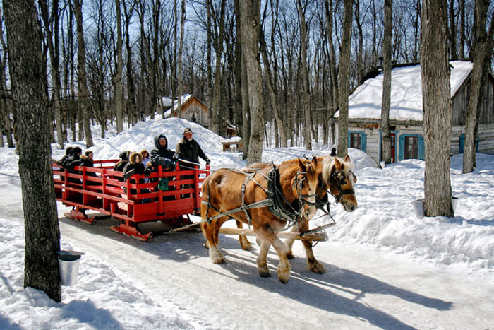 cabane a sucre wedding