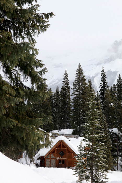 emerald lake lodge wedding