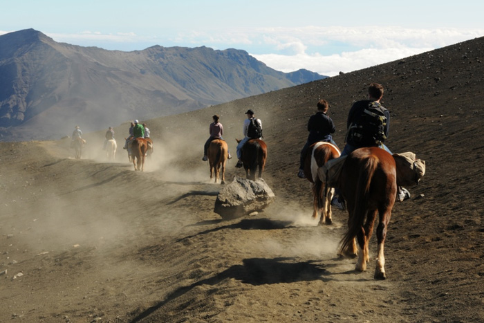 horseback riding princess cruises