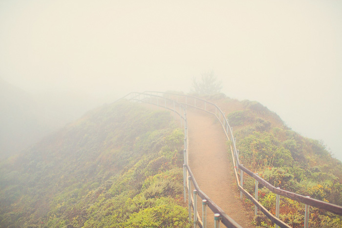 muir woods boardwalk