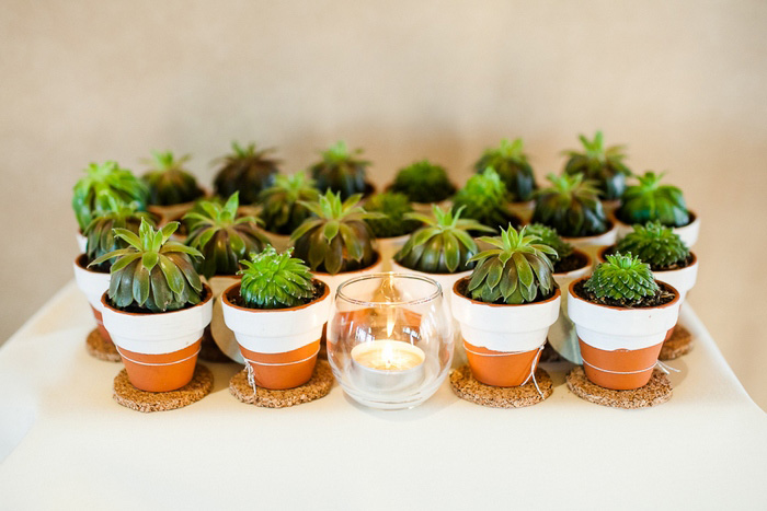 potted plant favors