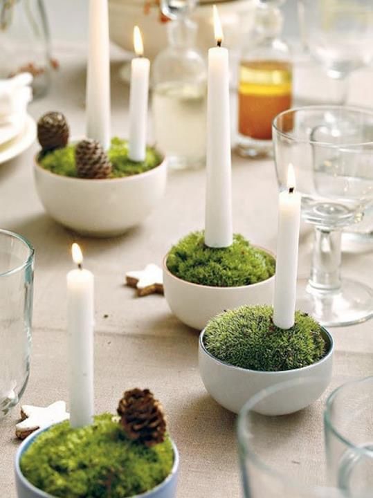 moss christmas ideas