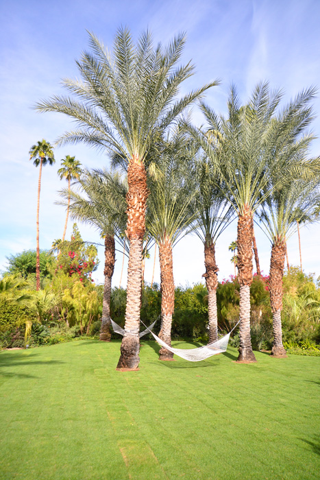 Intimate Weddings in Palm Springs - The Parker Hotel grounds