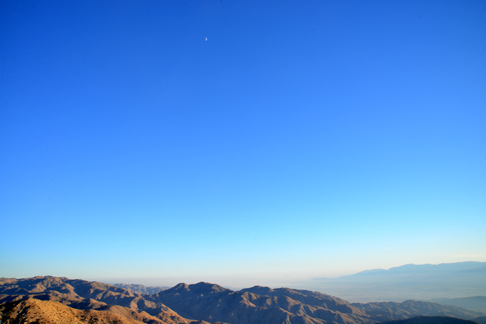 joshua tree california