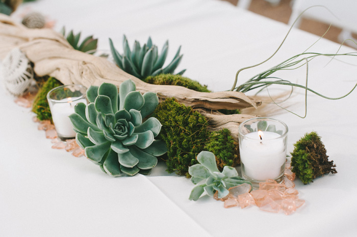 driftwood and succulent centerpiece