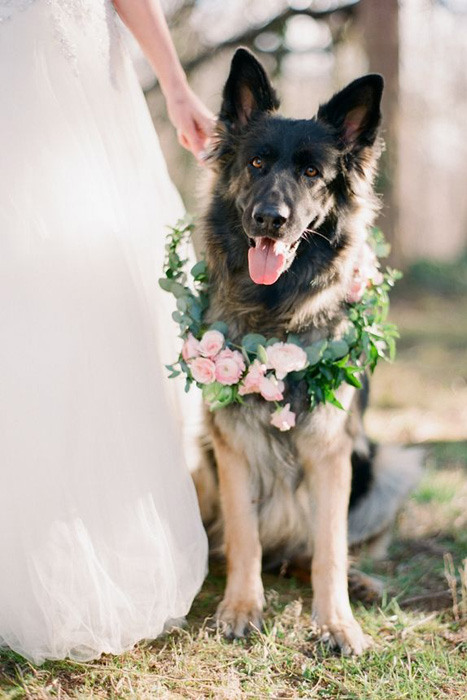 flower-dog-wreath