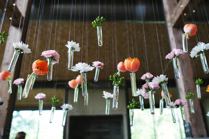 hanging tulips in test tubes