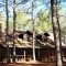 retreat-in-the-pines-mineola-tx-intimate-wedding thumbnail