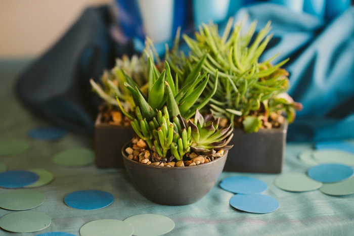 wedding succulents