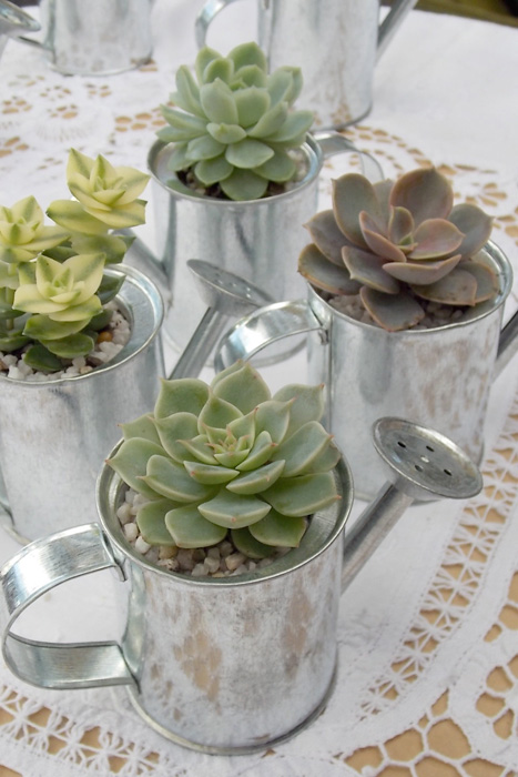 watering can favors