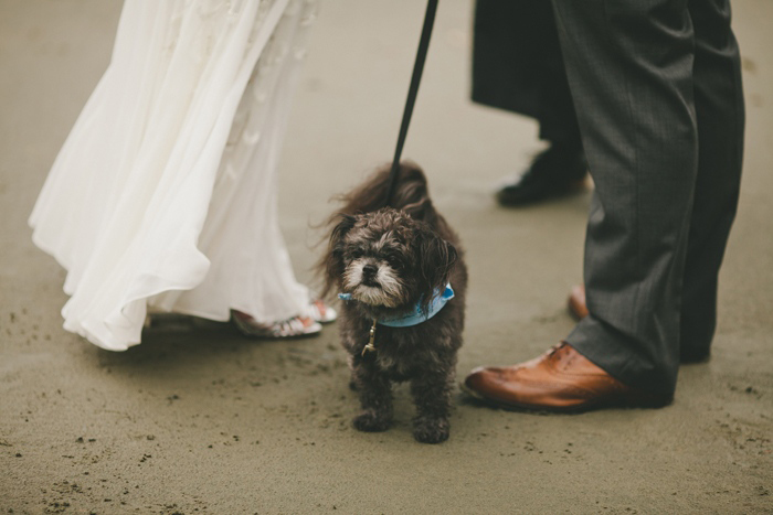 dog at elopement ceremony on the beach