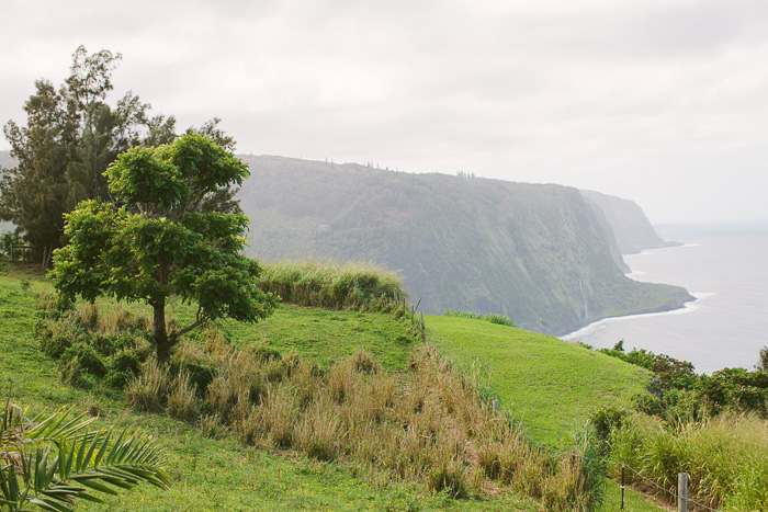 Hawaii landscape