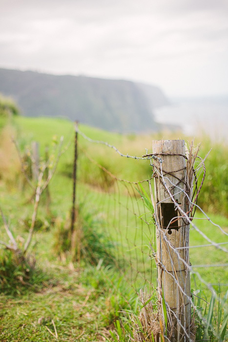 fence in Hawaii