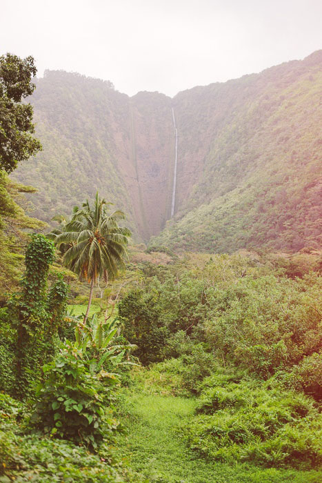 Lush Hawaiian landscape