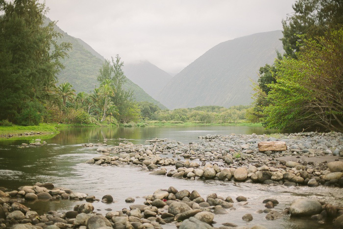 Hawaiian landscape