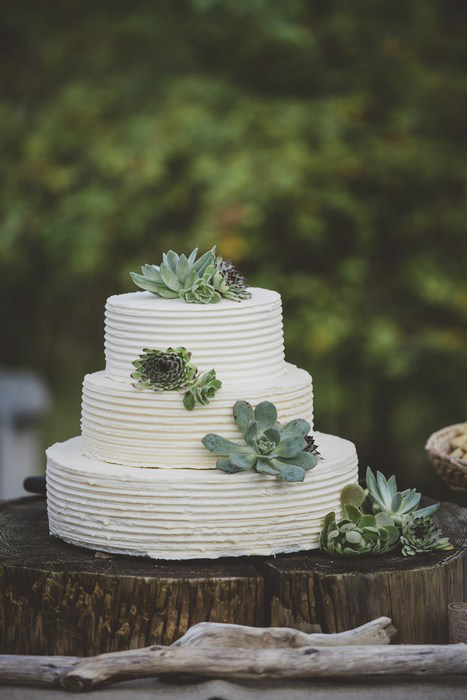 wedding cake with succulents