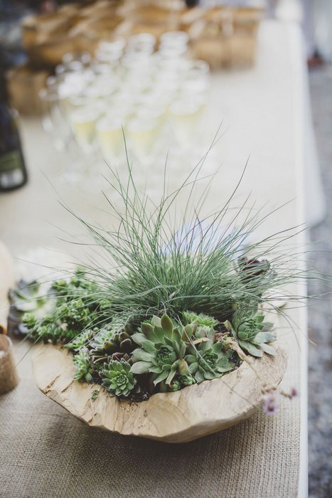 succulent centerpiece