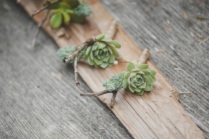 succulent boutonniere