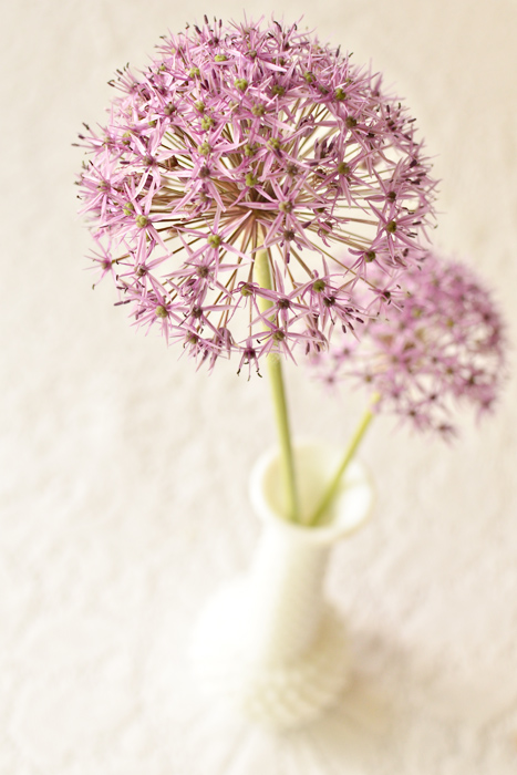 allium centerpiece