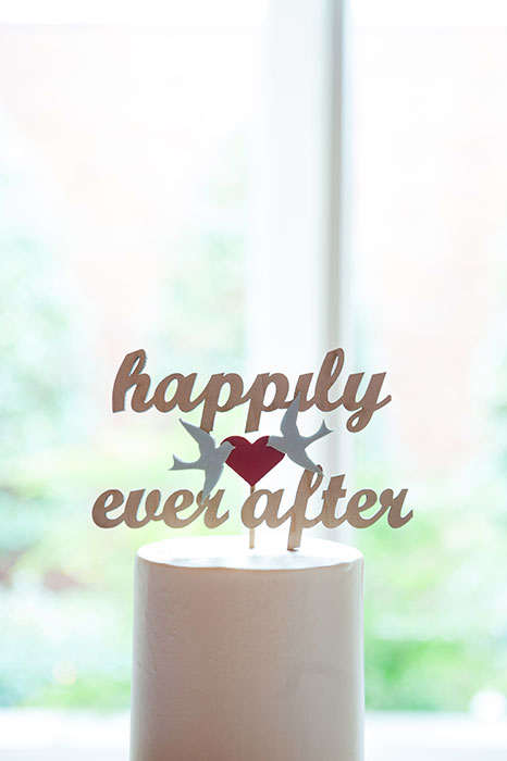 happily ever after cake topper