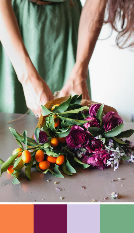 celosia orange color palette