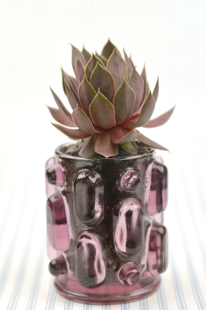 succulent-wedding-1