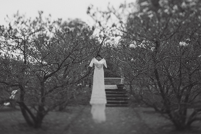 wedding dress hanging in a tree