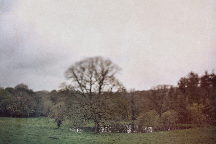 bride and groom in irish countryside