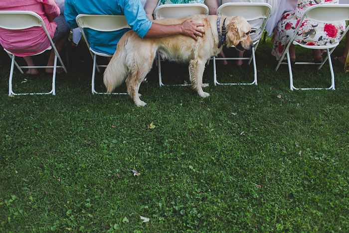 dog at wedding reception