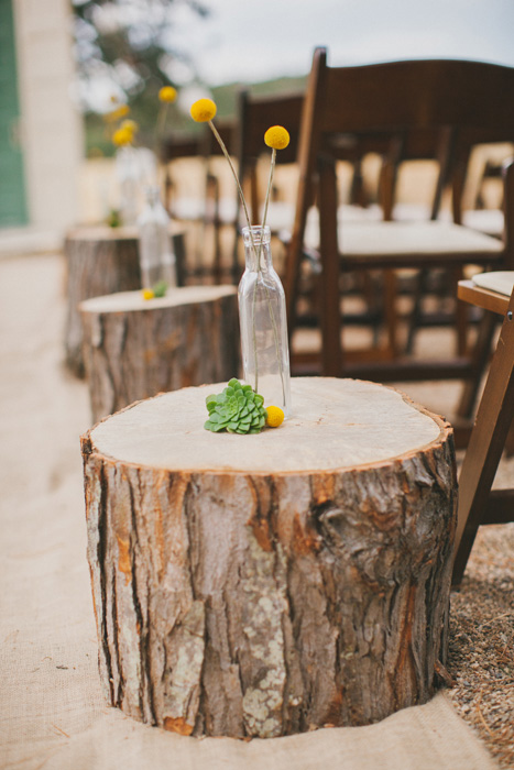 tree stump lined wedding aisle