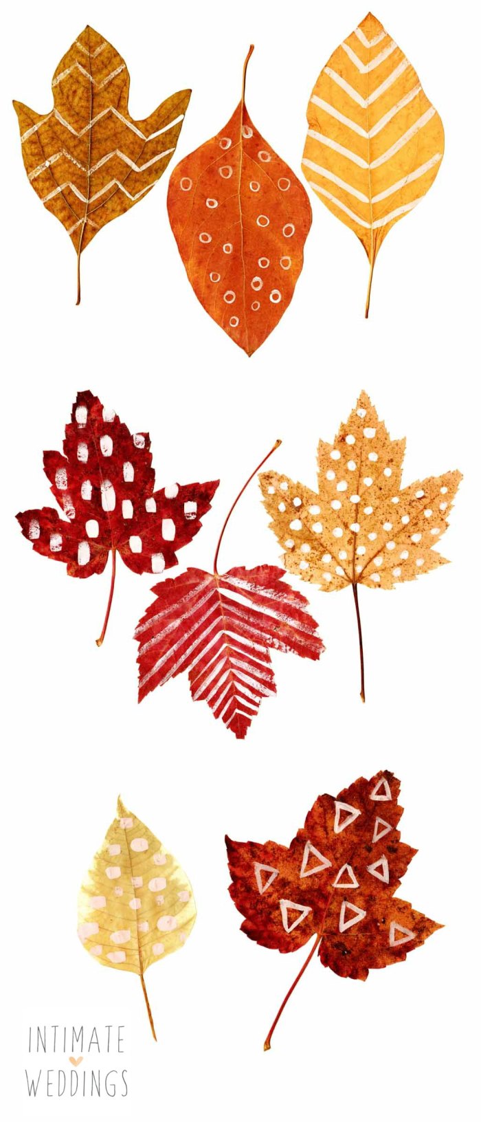 leaves collage