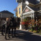 Horse and carriage at the Idlewyld Inn - London Ontario thumbnail