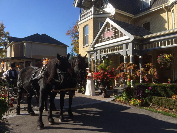 Horse and carriage at the Idlewyld Inn - London Ontario