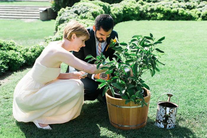 bride and groom planting tree