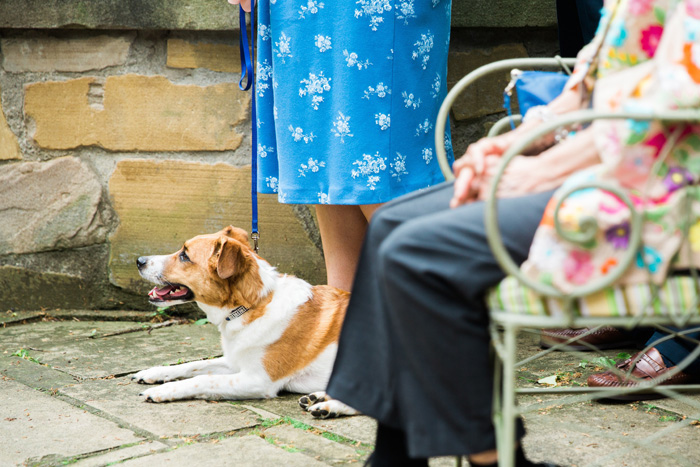 dog at wedding ceremony